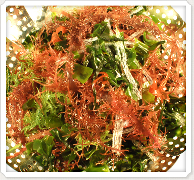 Seaweeds