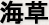海草